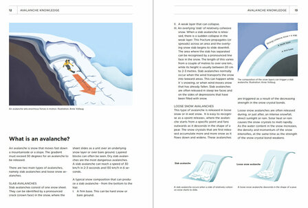 Fri Flyt - Safer Ski Touring In Norway