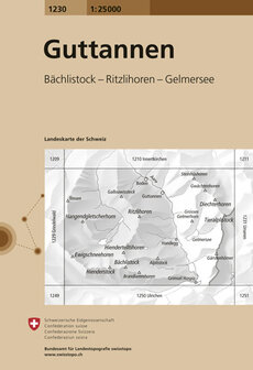 Swisstopo - 1230 Guttannen