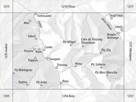 Swisstopo - 1236 Savognin