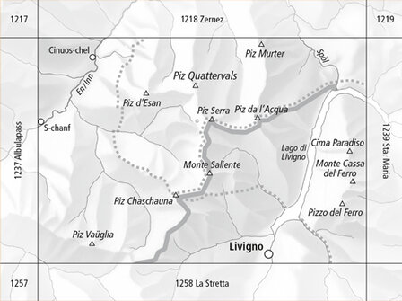 Swisstopo - 1238 Piz Quattervals