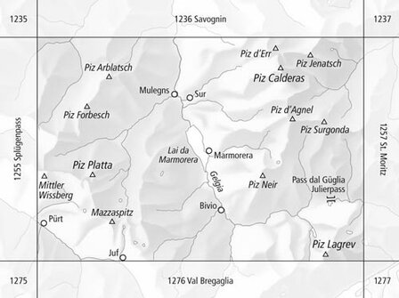 Swisstopo - 1256 Bivio