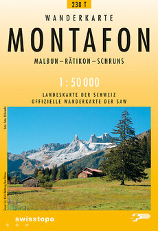 Swisstopo - 238T Montafon